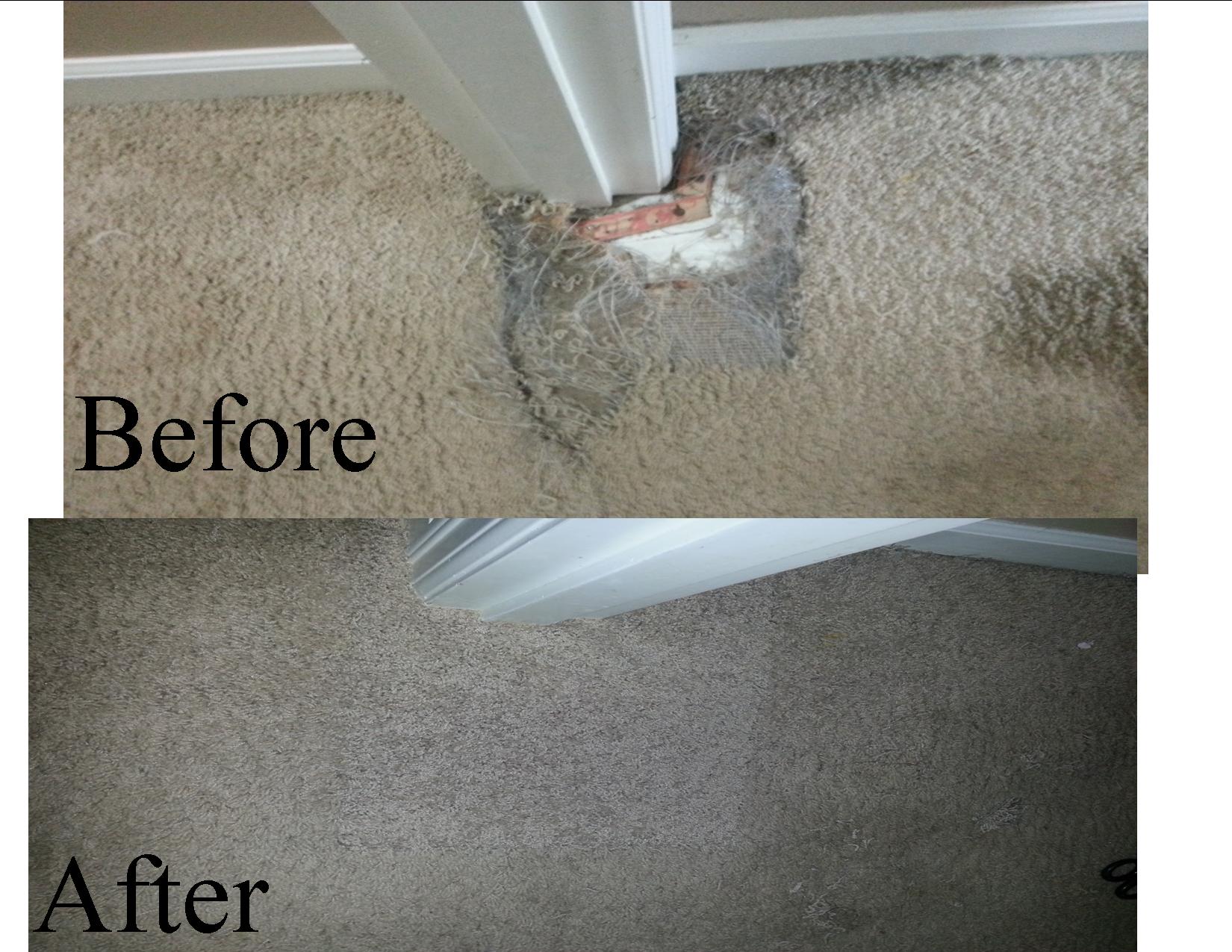 Carpet Repair Lombard  Phase 18 Lombard Carpet Cleaning